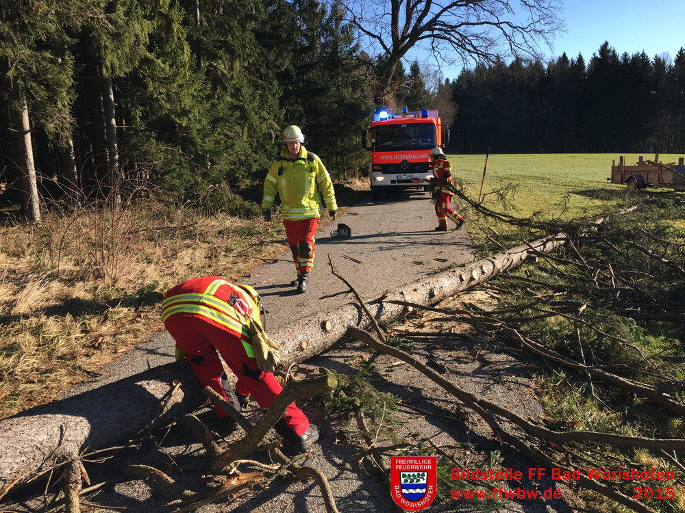 Baum über Fahrbahn PKW- Baum über Fahrbahn