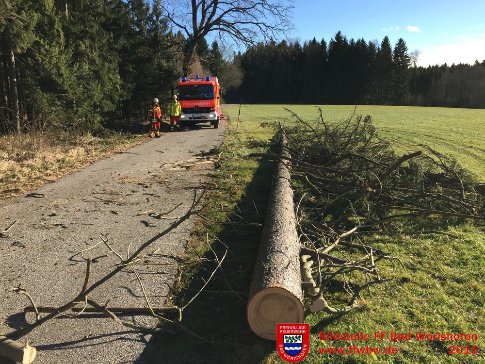 Baum über Fahrbahn PKW- Baum über Fahrbahn