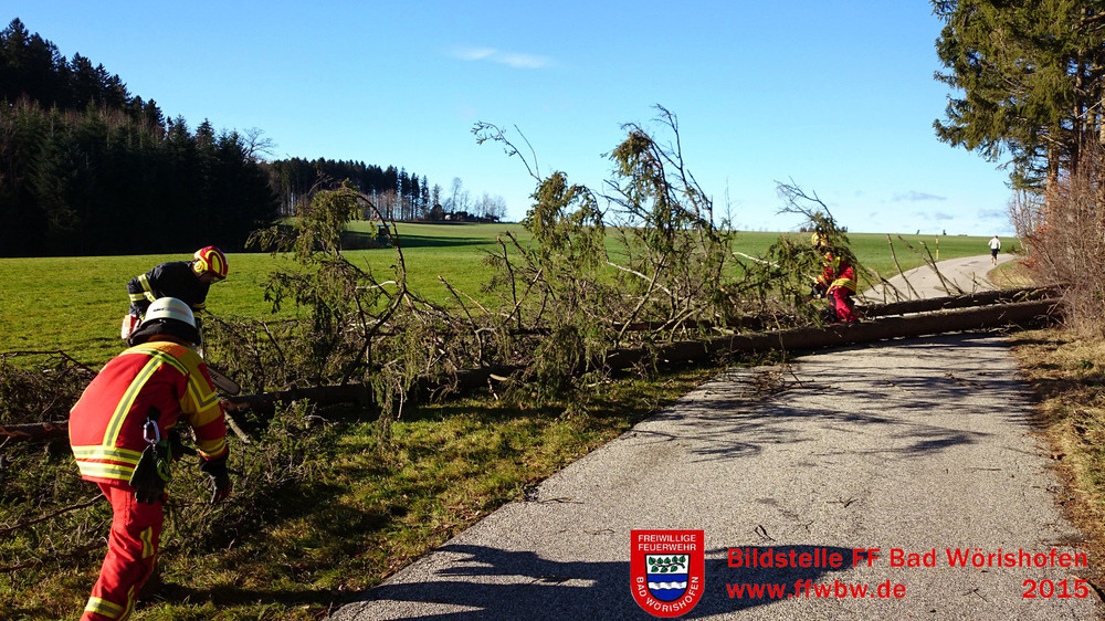 Baum über Fahrbahn PKW- Baum über Fahrbahn