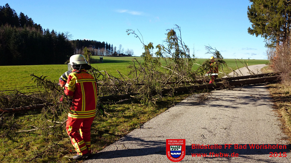 Baum über Fahrbahn PKW- Baum über Fahrbahn