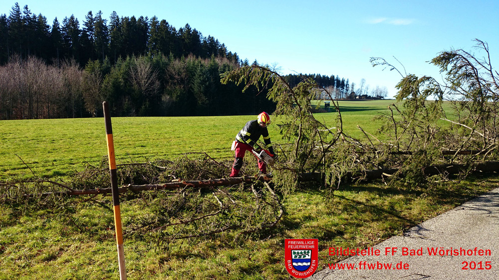 Baum über Fahrbahn PKW- Baum über Fahrbahn